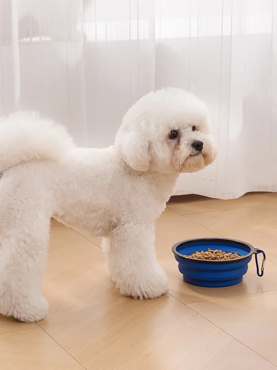 Pet Food Water Bowl 2-in-1 Dog Bowl, Silicone Foldable Portable Bowl, Four Seasons Outdoor Travel Collapsible Bowl, 1PC